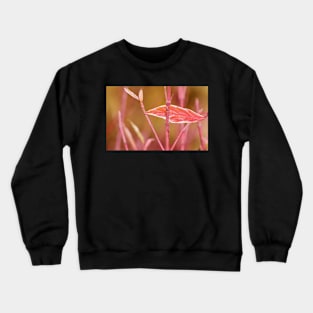 leaf Crewneck Sweatshirt